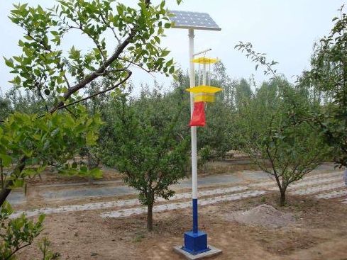怎样选购太阳能杀虫灯 怎样选购太阳能杀虫灯